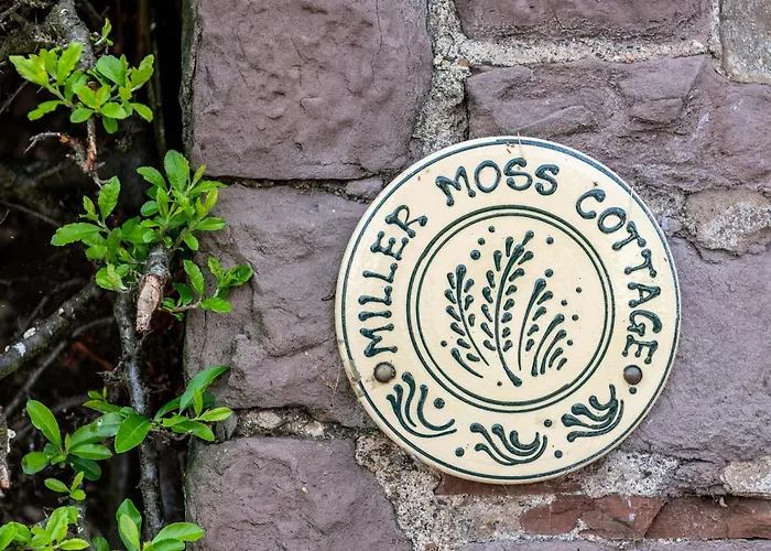 Hawthorn End Holiday home